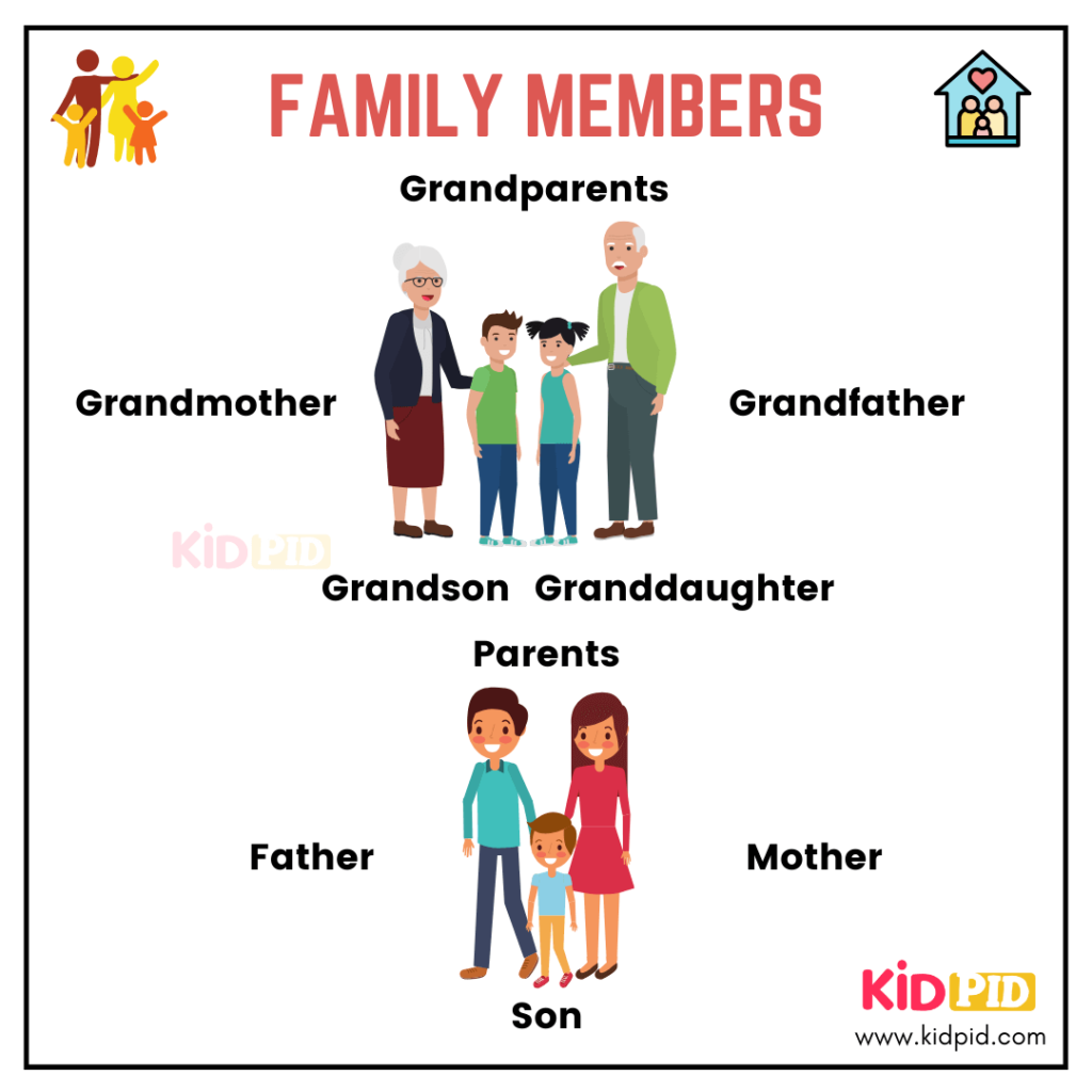 Basic English Vocabulary Words For Kids Kidpid