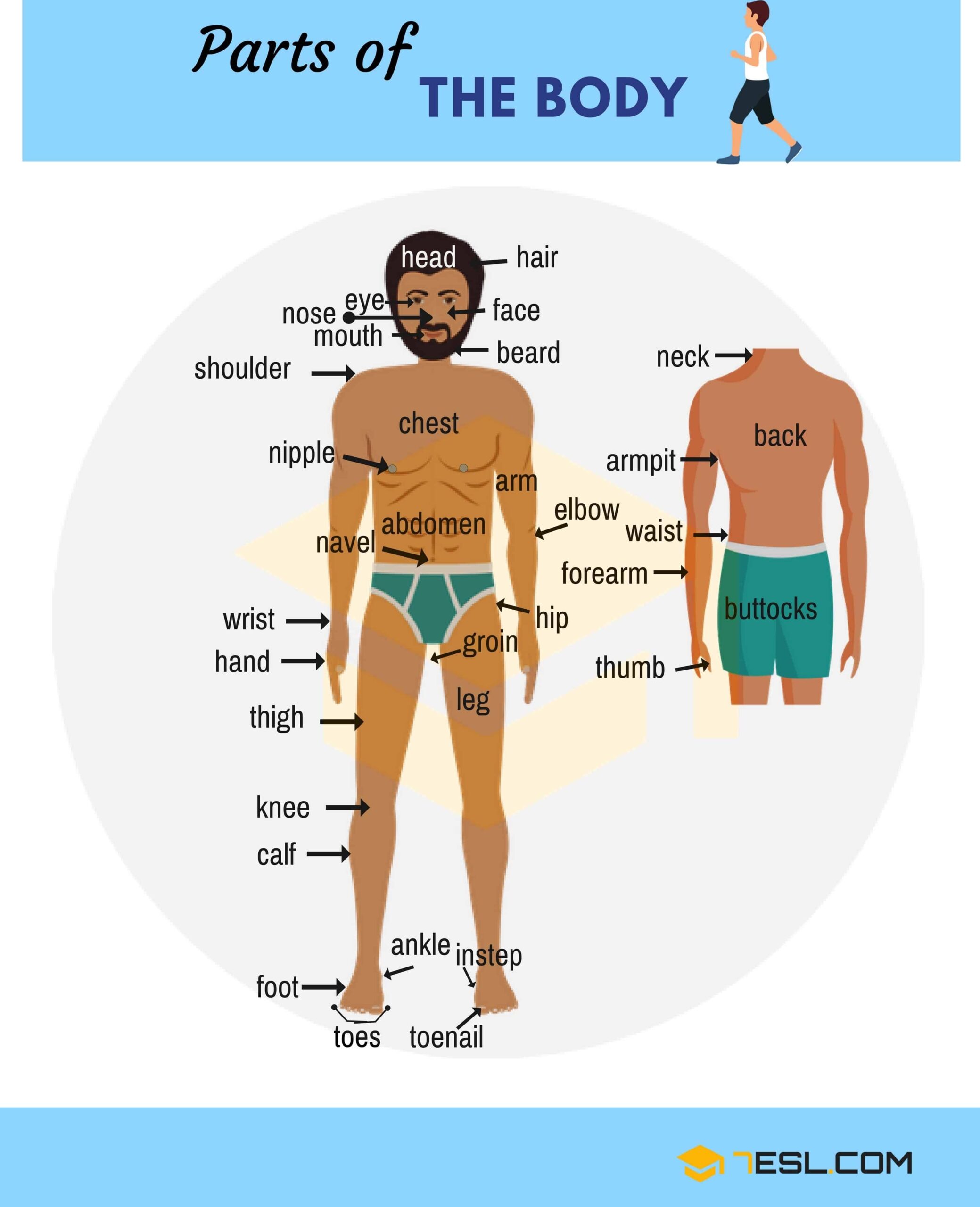Body Parts Names 7ESL