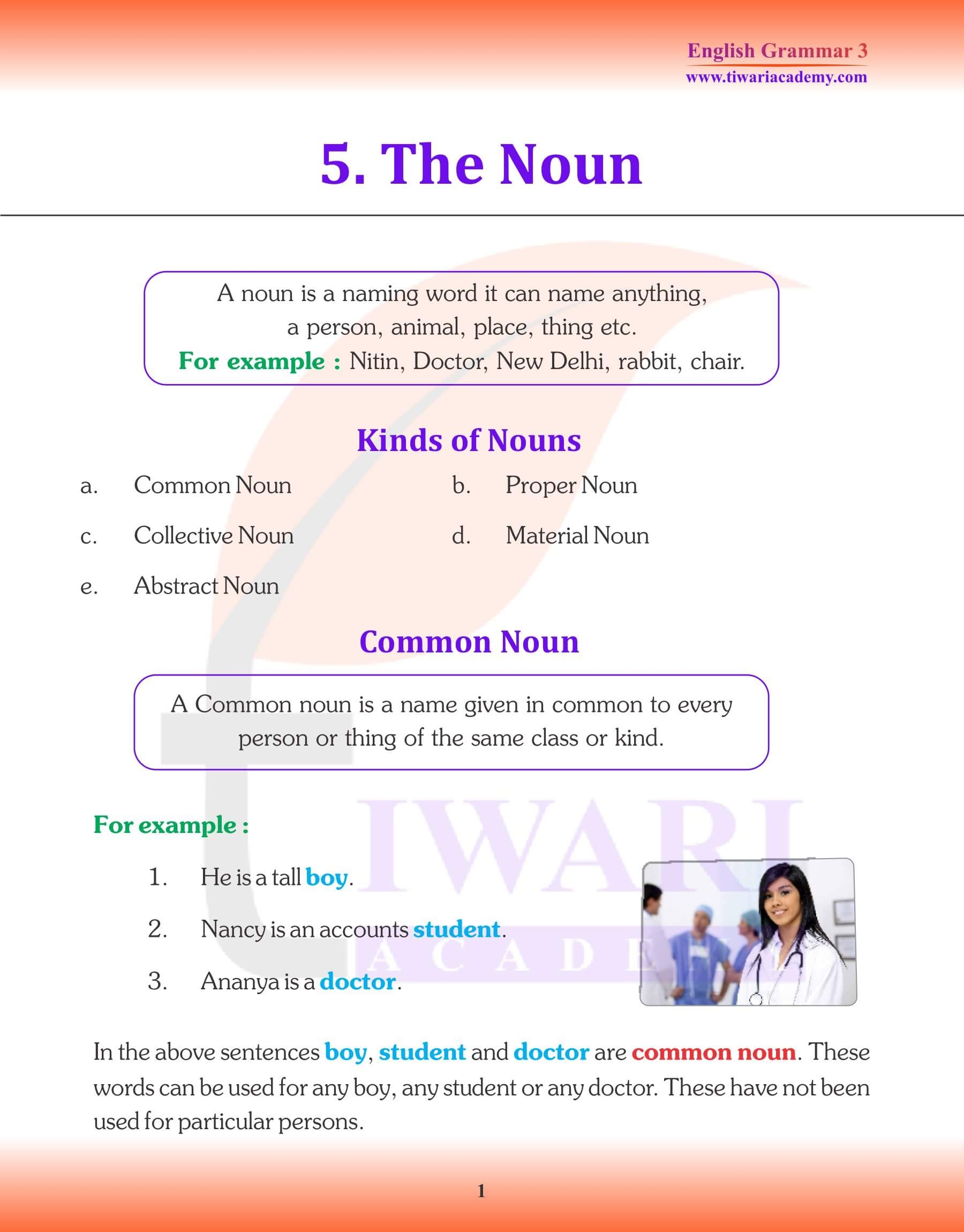 Class 3 English Grammar Chapter 5 The Noun Updated For 2025 26 