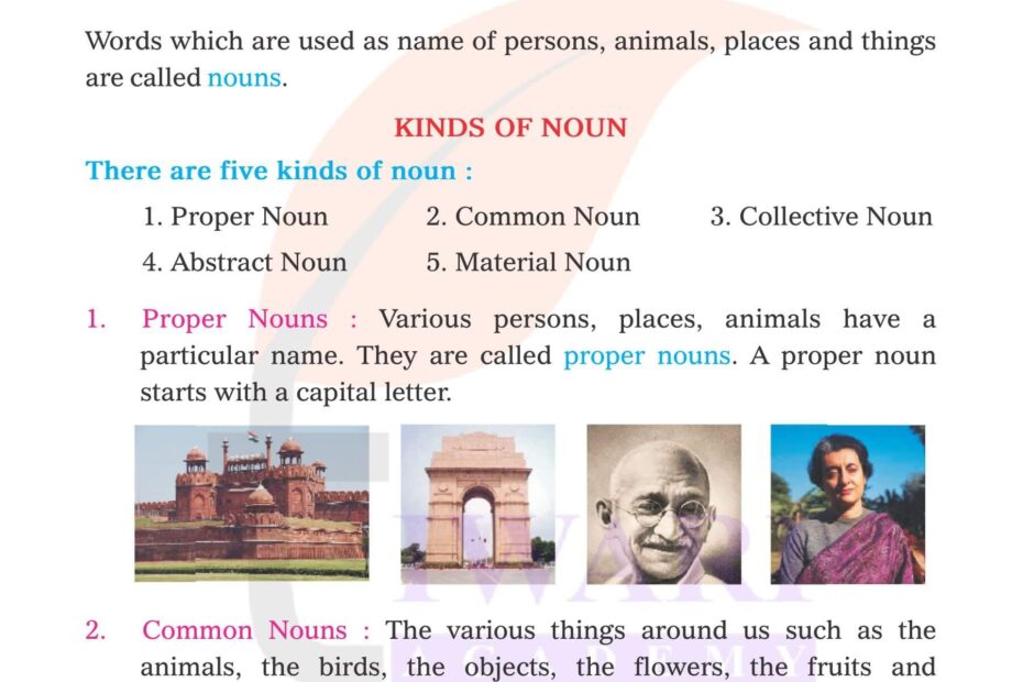 Class 3 English Grammar Chapter 5 The Noun Updated For 2025 26