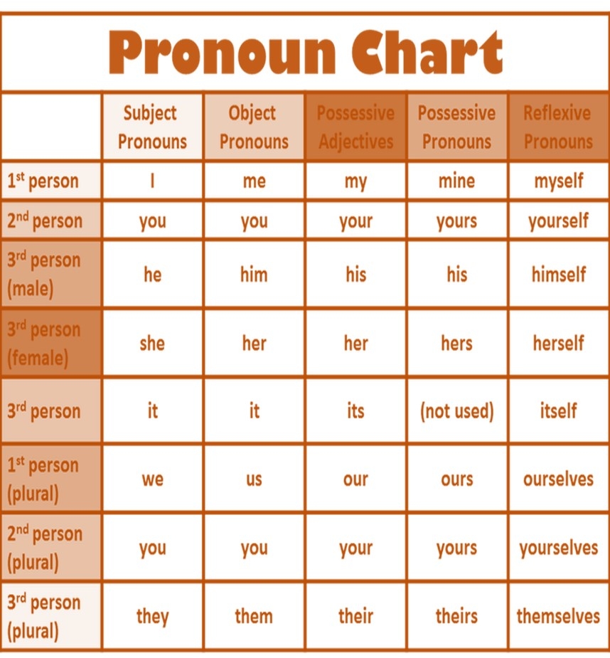 Class 3 Nouns And Pronouns
