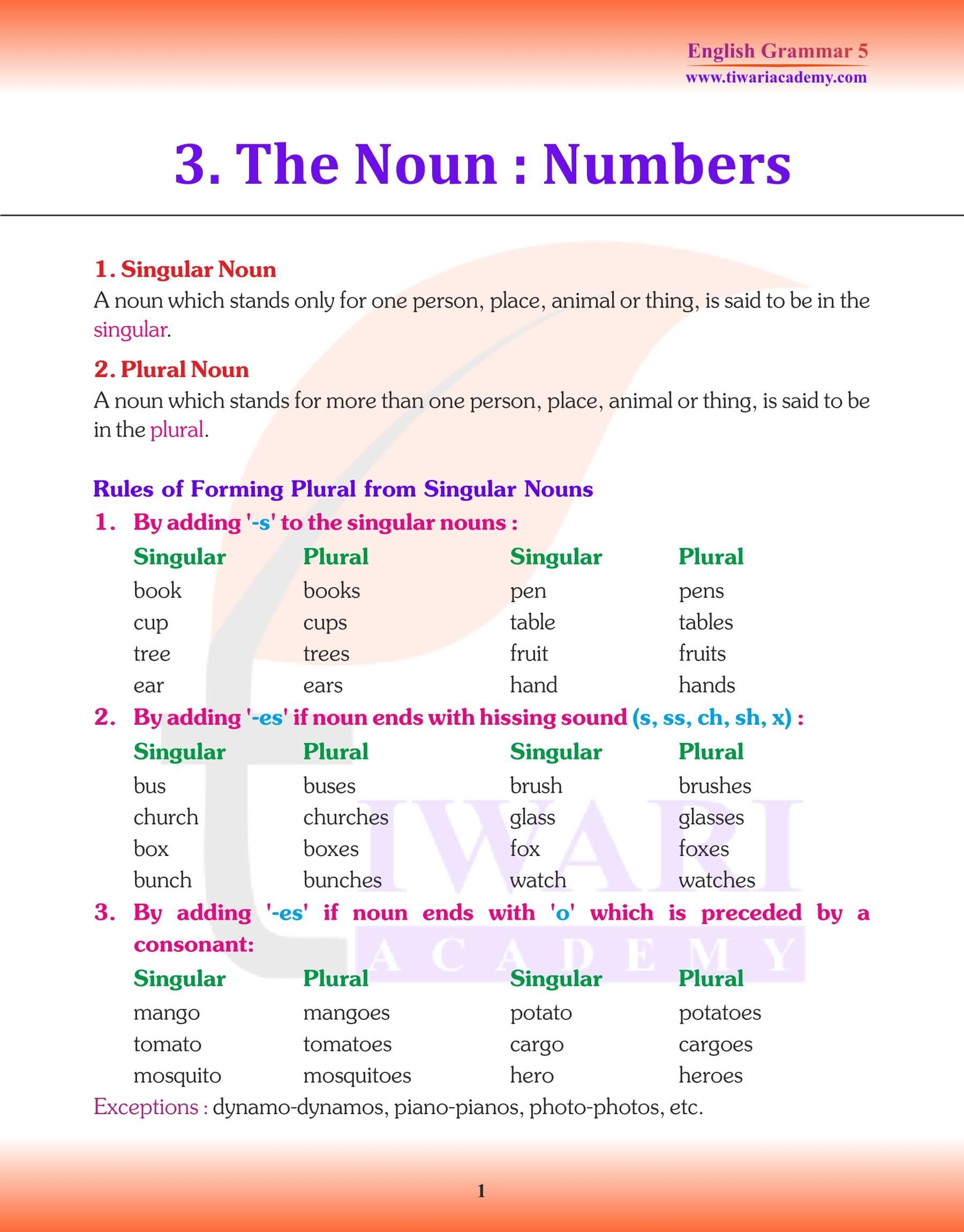 Class 5 English Grammar Chapter 3 The Noun Number Singular Plural 