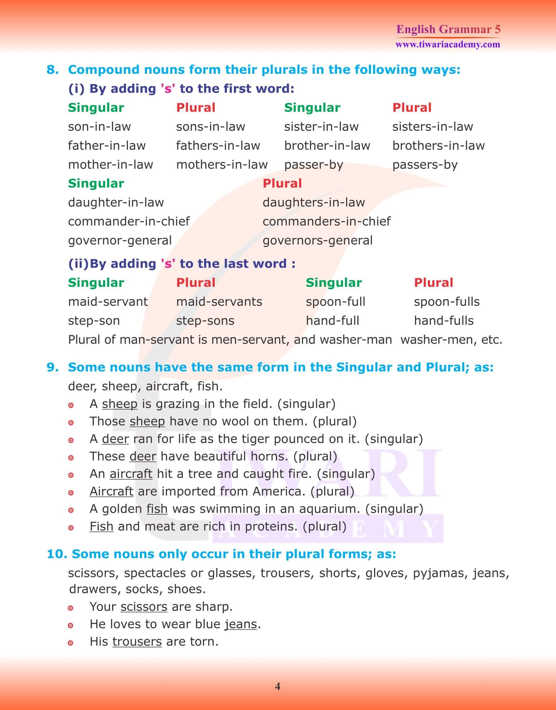 singular plural for class 5