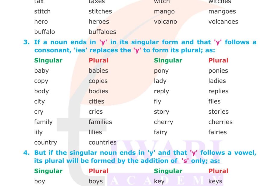 Class 5 English Grammar Chapter 3 The Noun Number Singular Plural