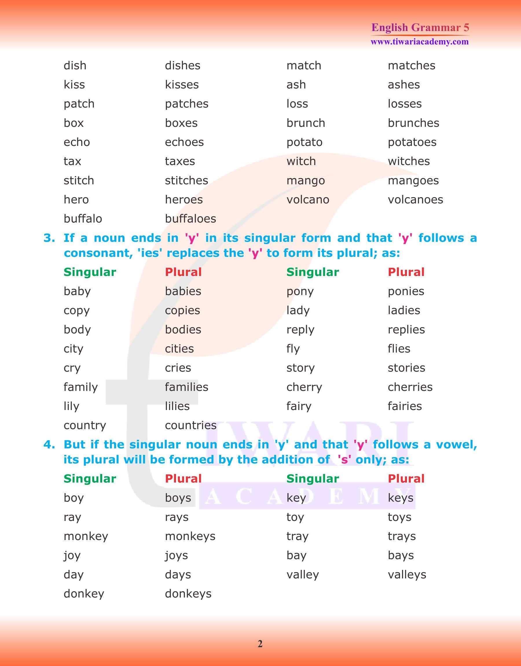 Class 5 English Grammar Chapter 3 The Noun Number Singular Plural 
