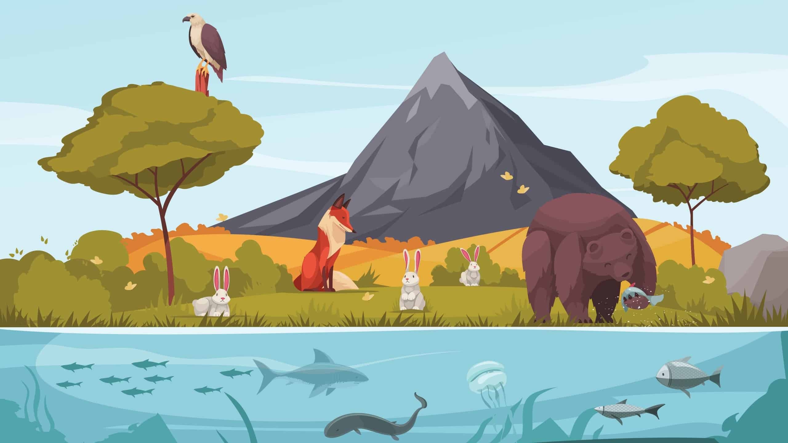 Classification Of Animals The Complete Guide A Z Animals