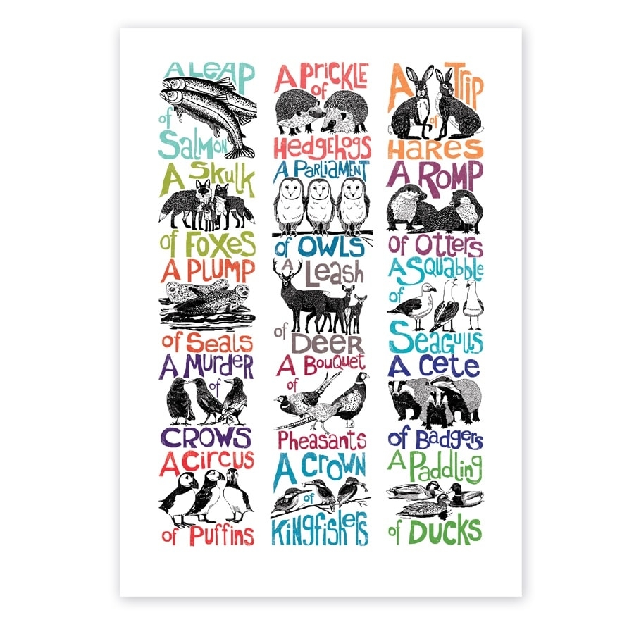 unusual collective nouns for animals