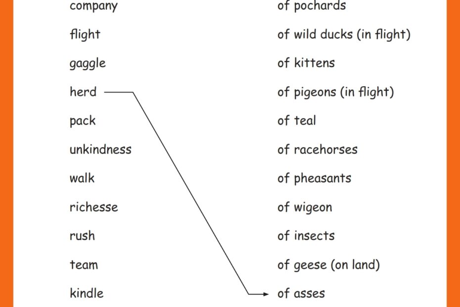 Collective Noun Of Animals Worksheets Grade1to6