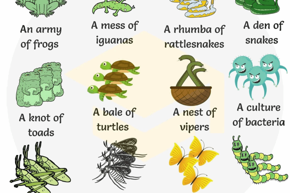 Collective Nouns For Animals