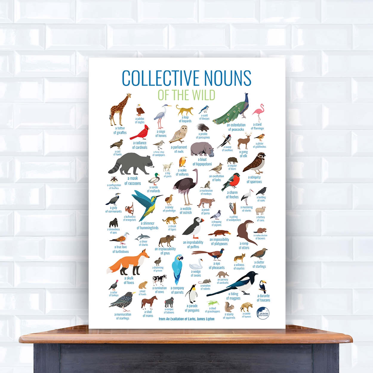 Collective Nouns For Animals A Great Source Of Humor And 