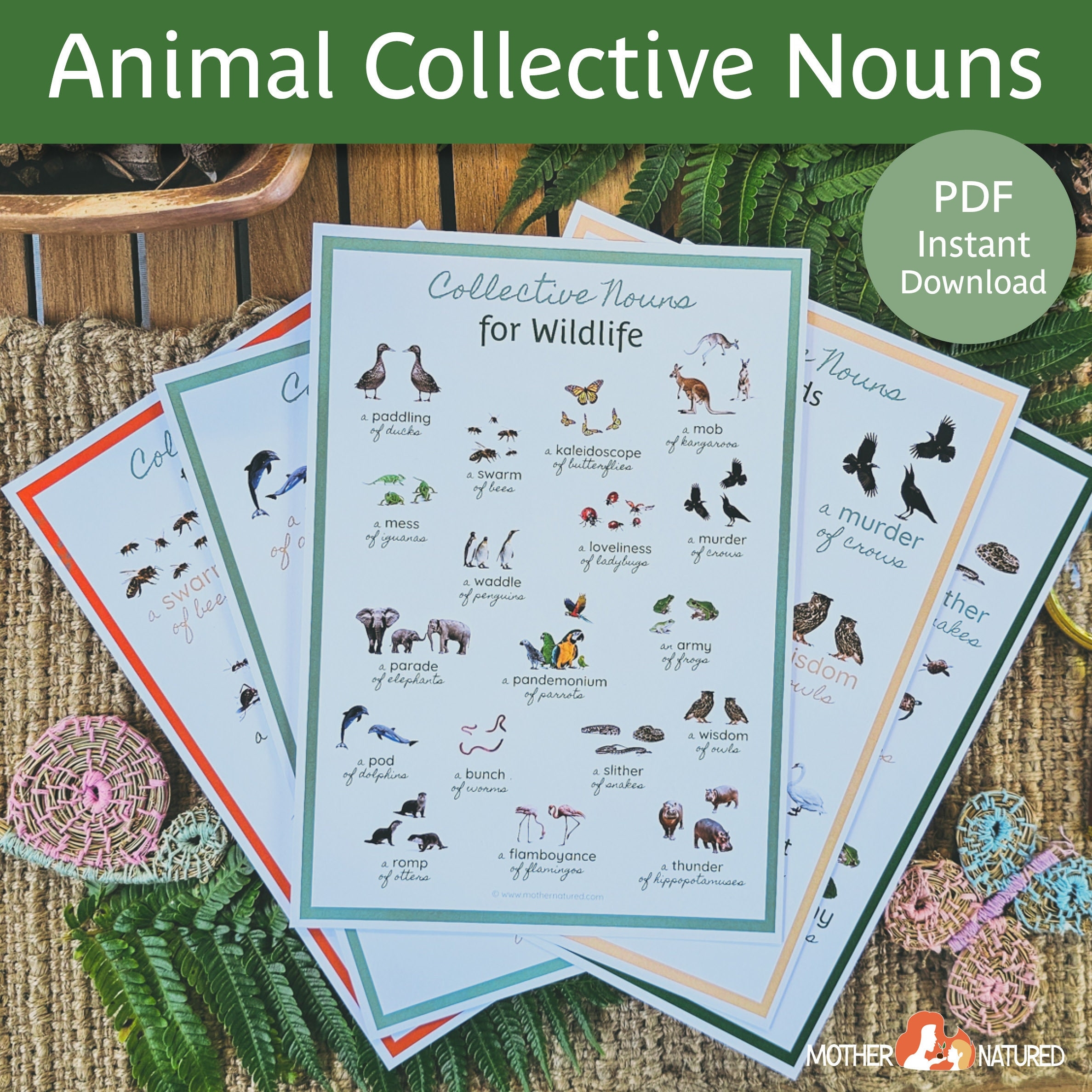 Collective Nouns For Animals Collective Nouns Poster 