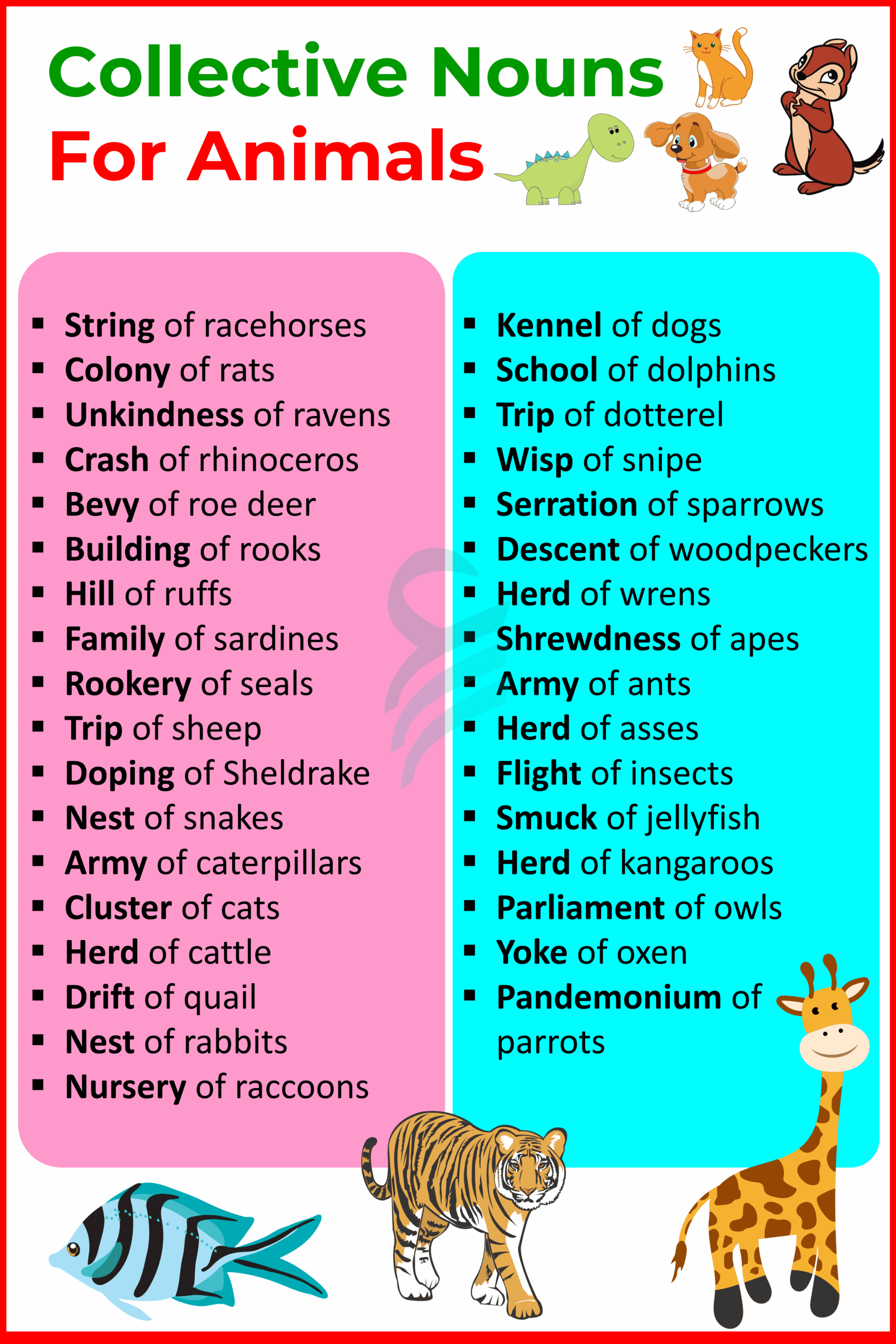 Collective Nouns For Animals In English Englishilm