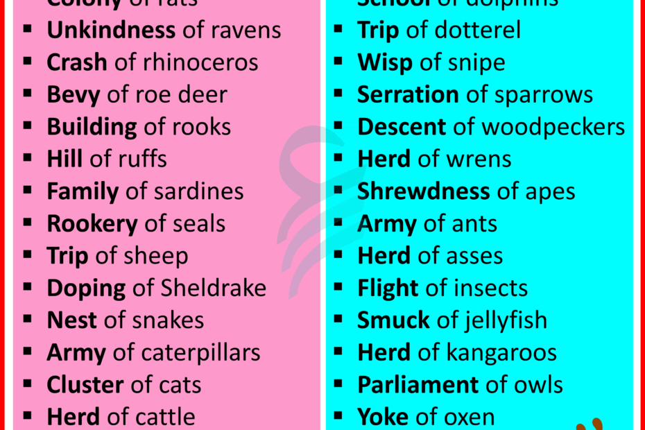 Collective Nouns For Animals In English Englishilm