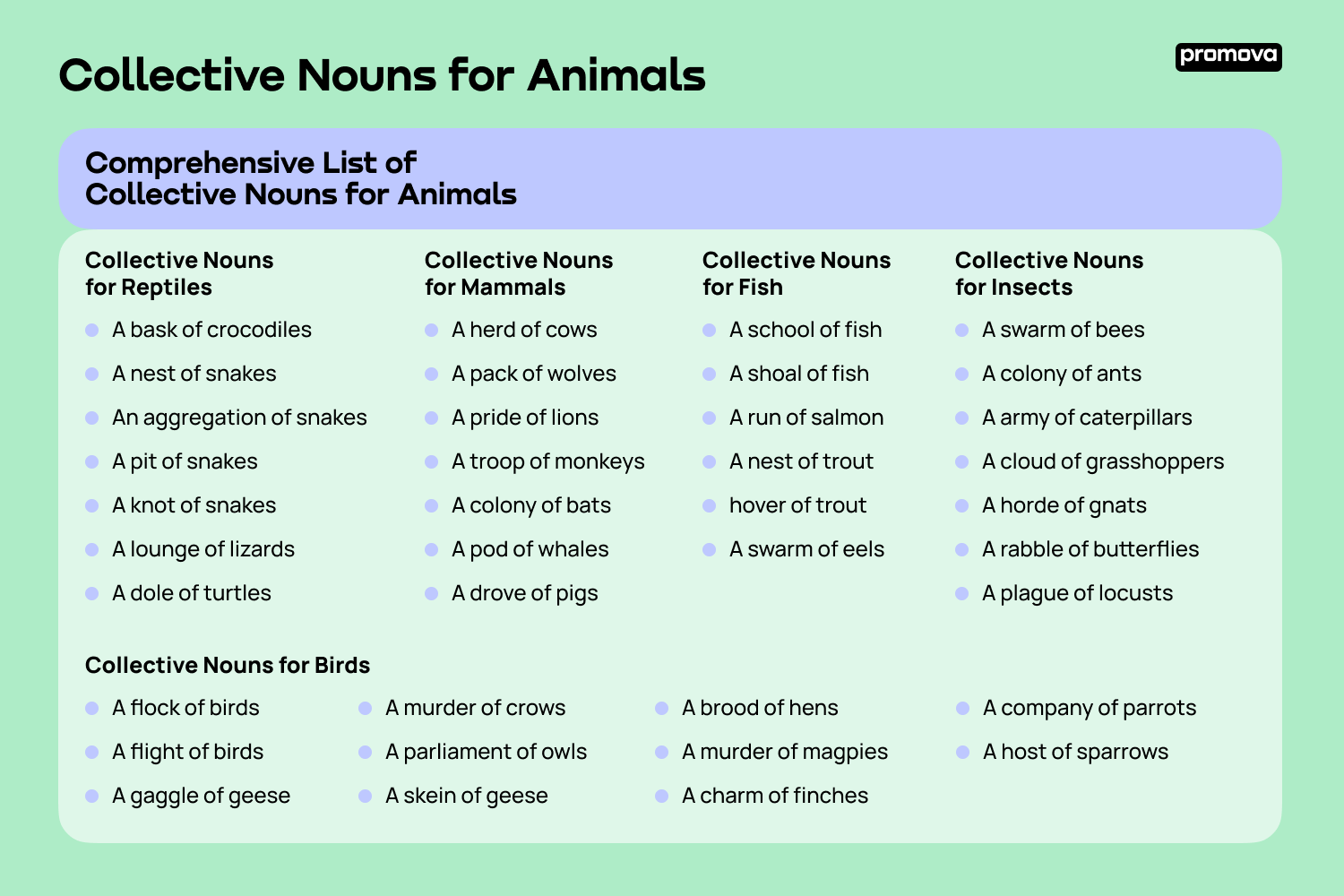 Collective Nouns For Groups Of Animals List Promova Promova Blog