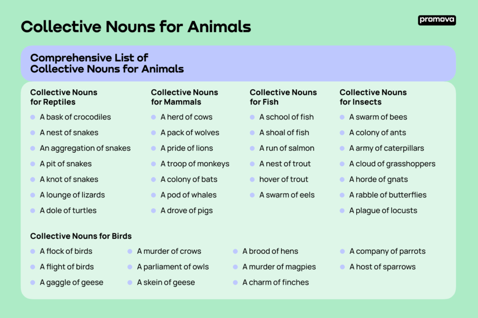 Collective Nouns For Groups Of Animals List Promova Promova Blog