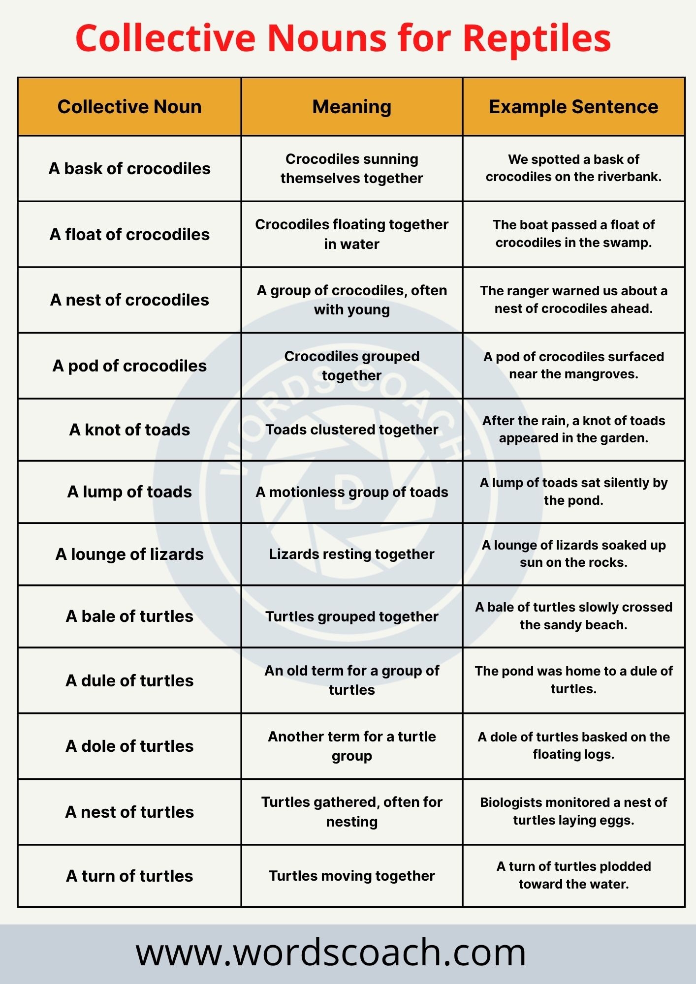 Collective Nouns For Reptiles Word Coach