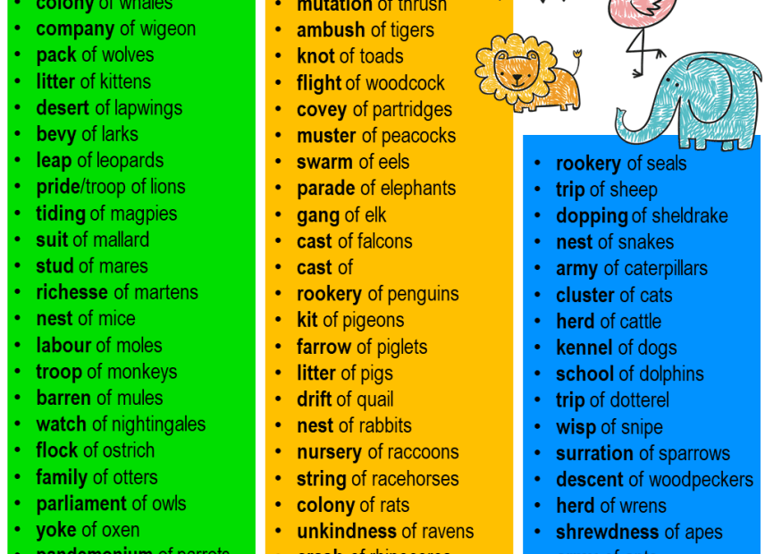 Collective Nouns People And Animals Ledfiko
