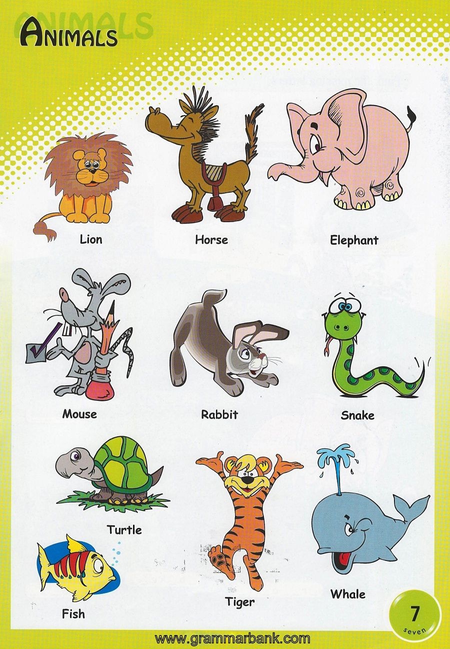 colours in english exercises