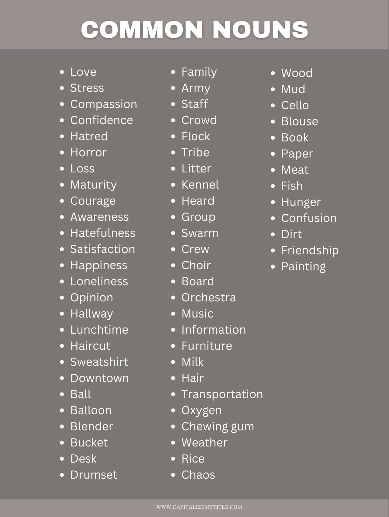 Common Nouns With Types U0026 Examples Capitalize My Title