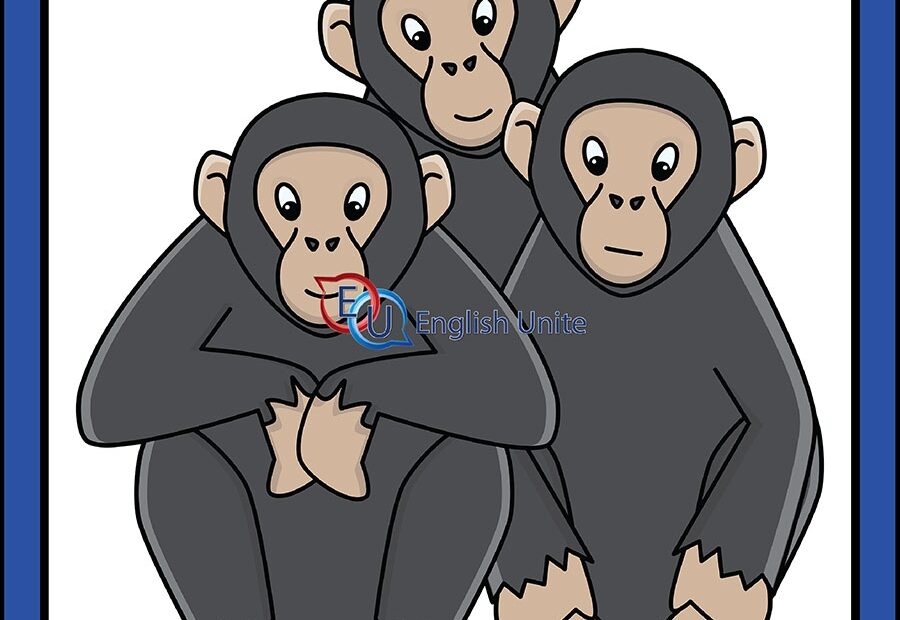 English Unite Collective Noun A Troop Of Apes