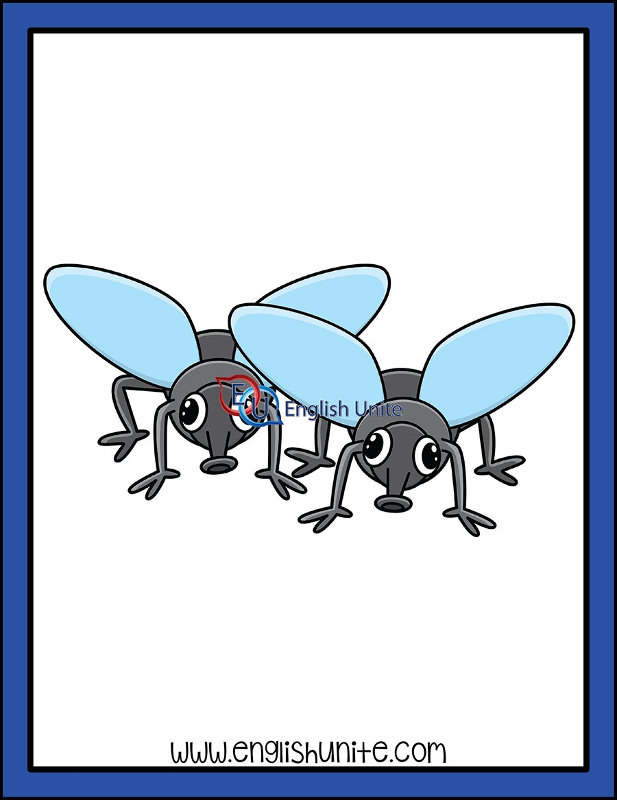 English Unite Grammar Plural Flies