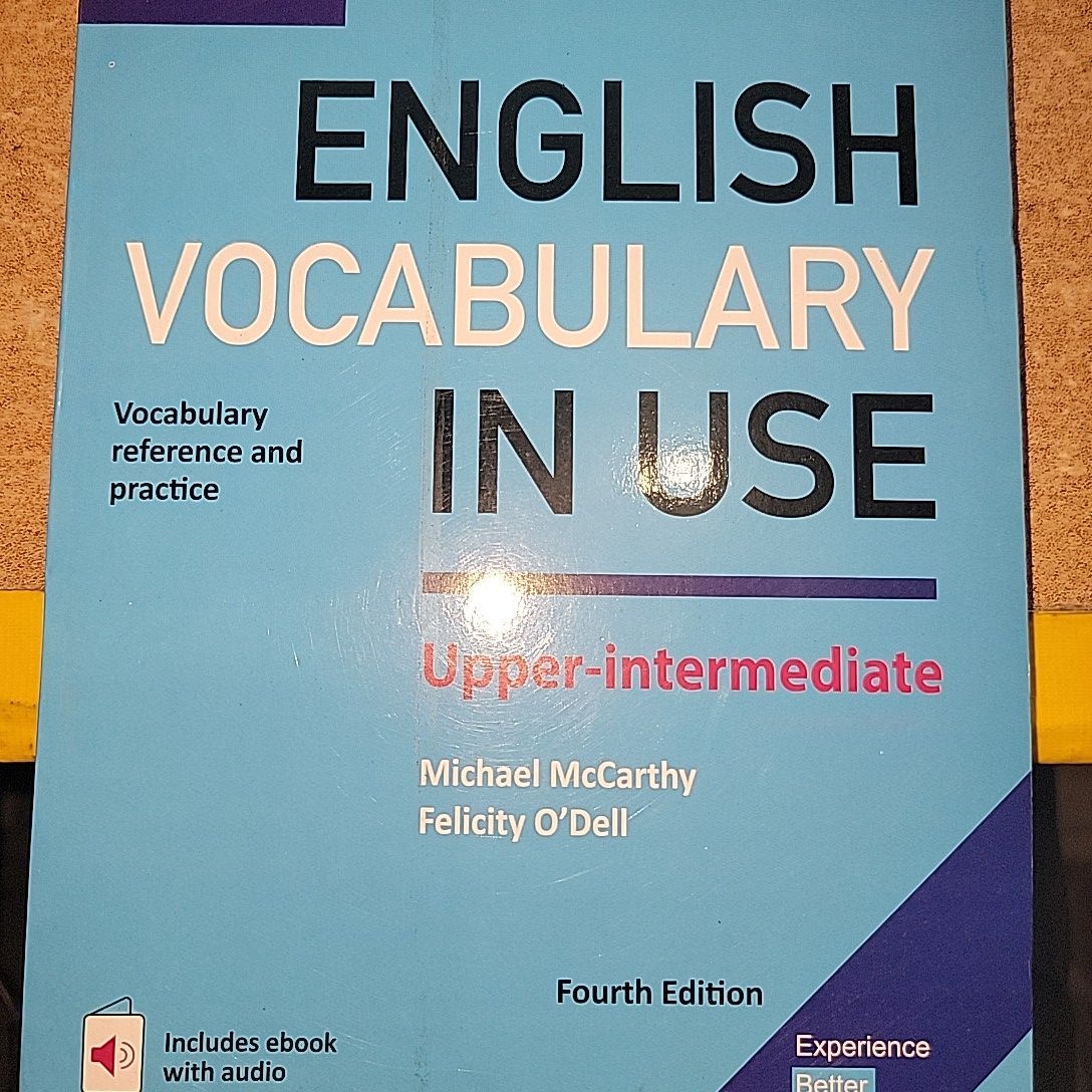 english vocabulary in use