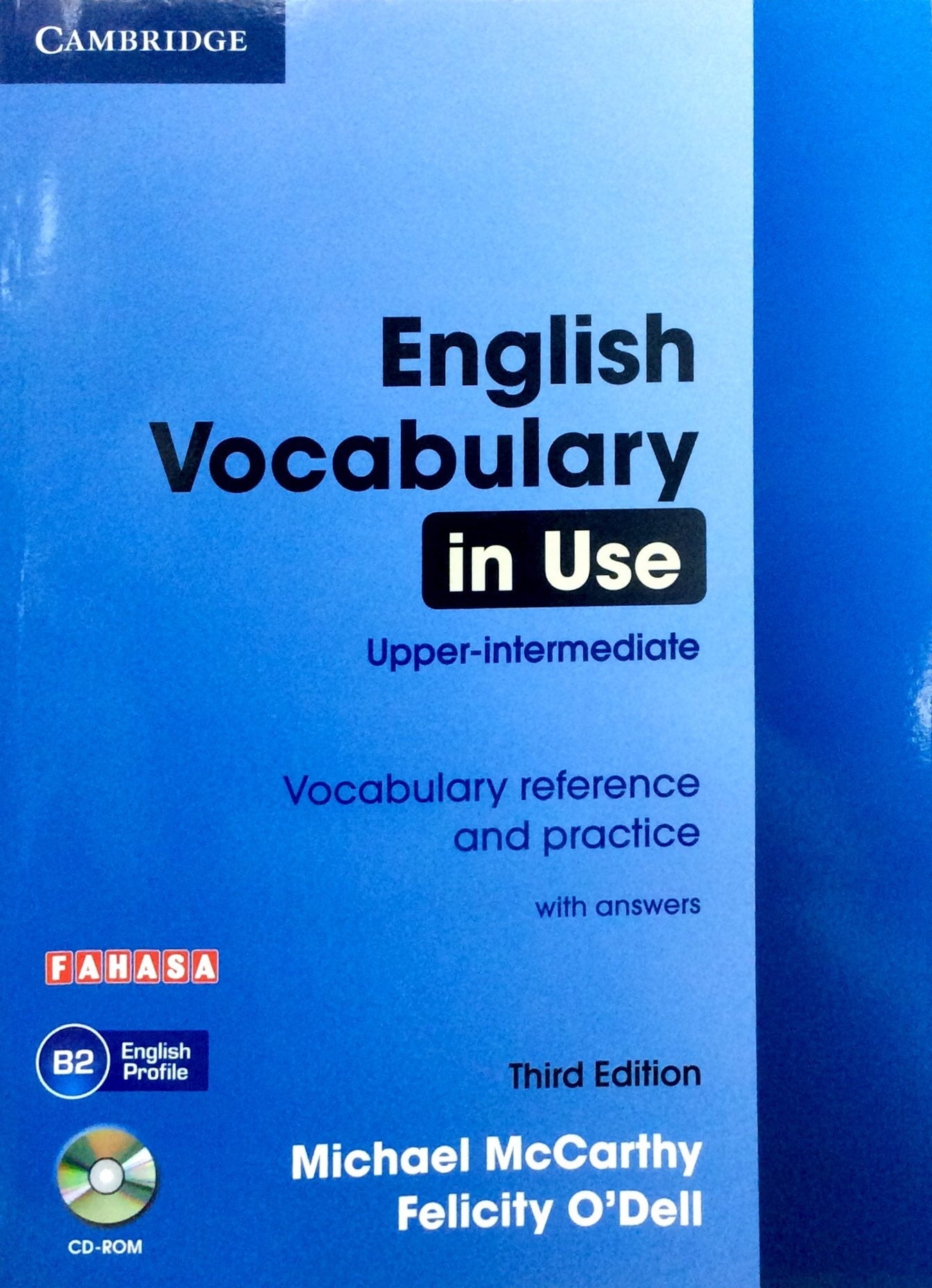english vocabulary in use elementary 4th pdf