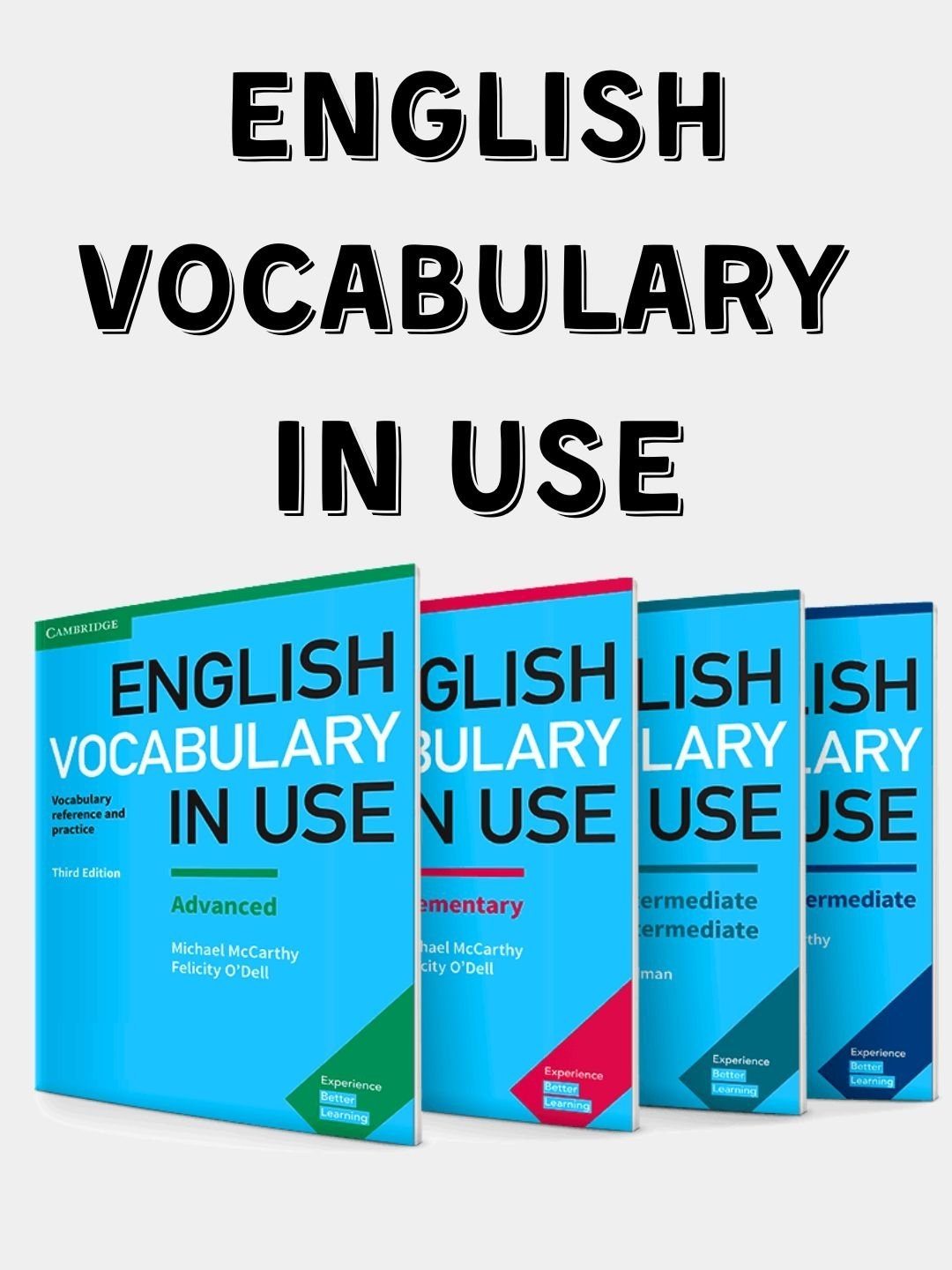 english vocabulary in use beginner