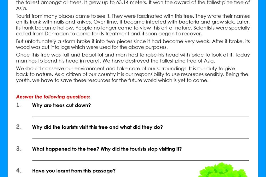 Fifth Grade Reading Comprehension Worksheets