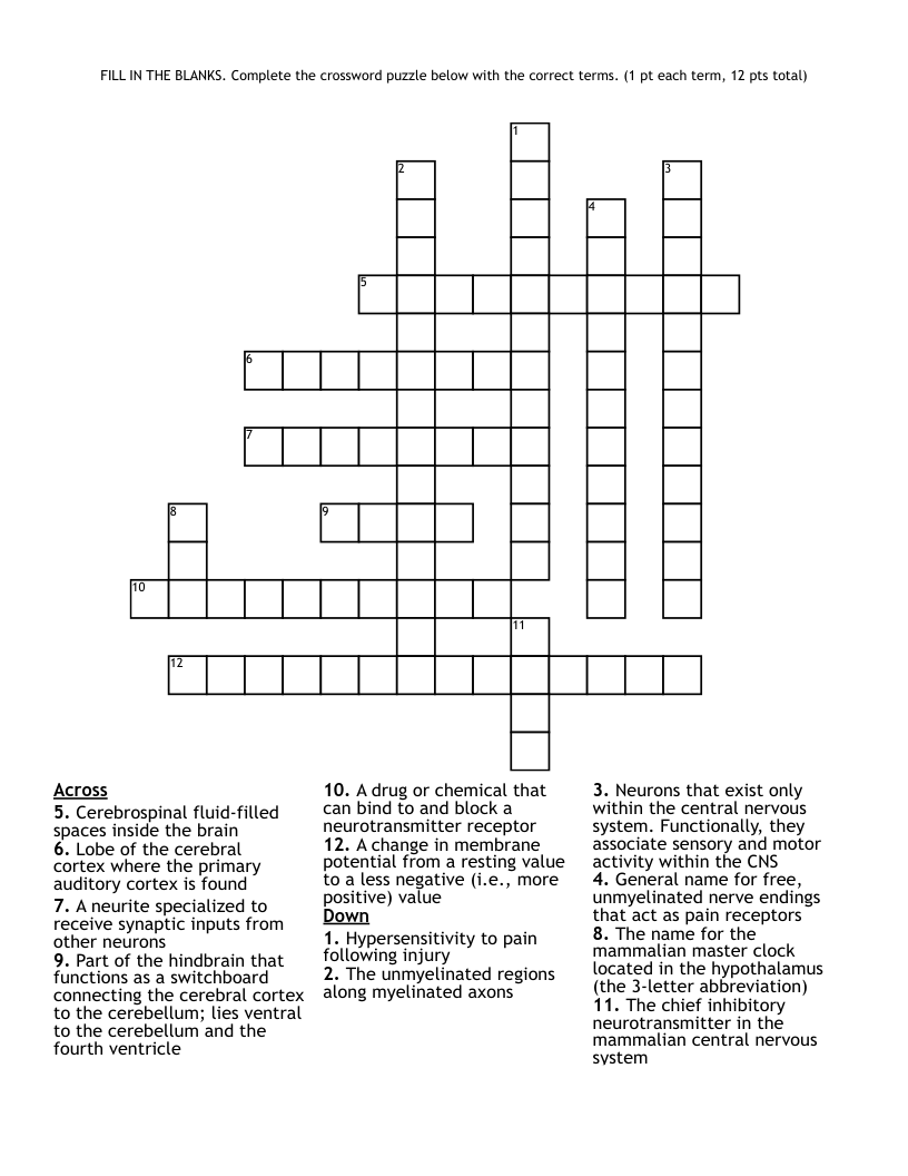 FILL IN THE BLANKS Complete The Crossword Puzzle Below With The 