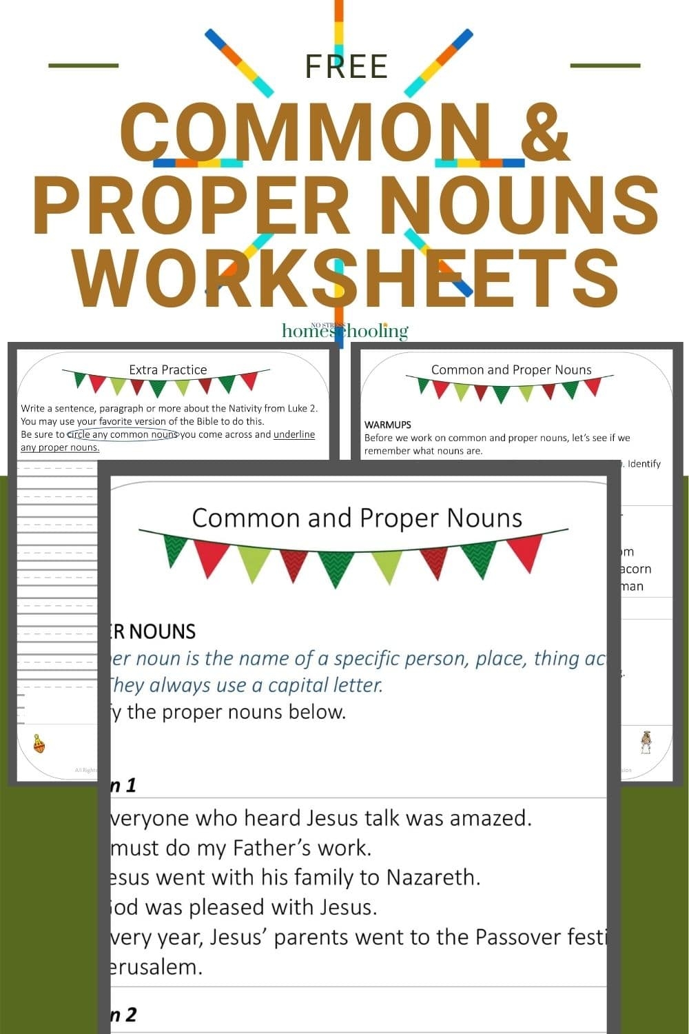 identify common and proper nouns