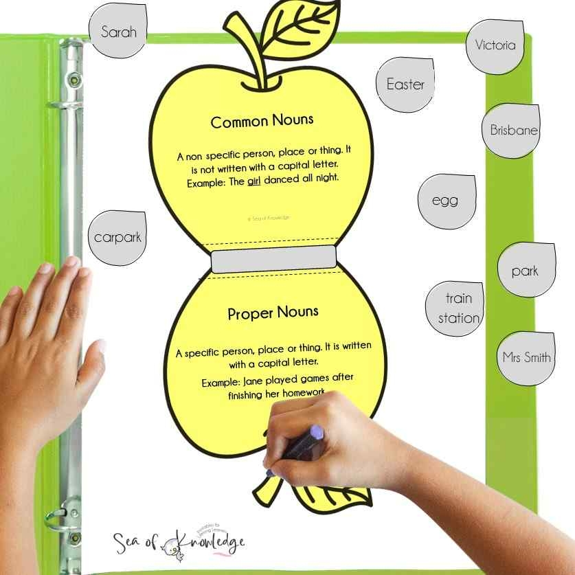 Free Common And Proper Noun Lesson Plan With Printable Activities 