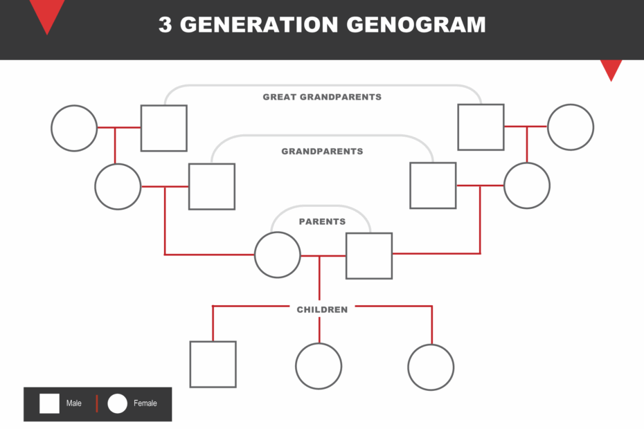 Free Genogram Templates Word PowerPoint Slides WordLayouts