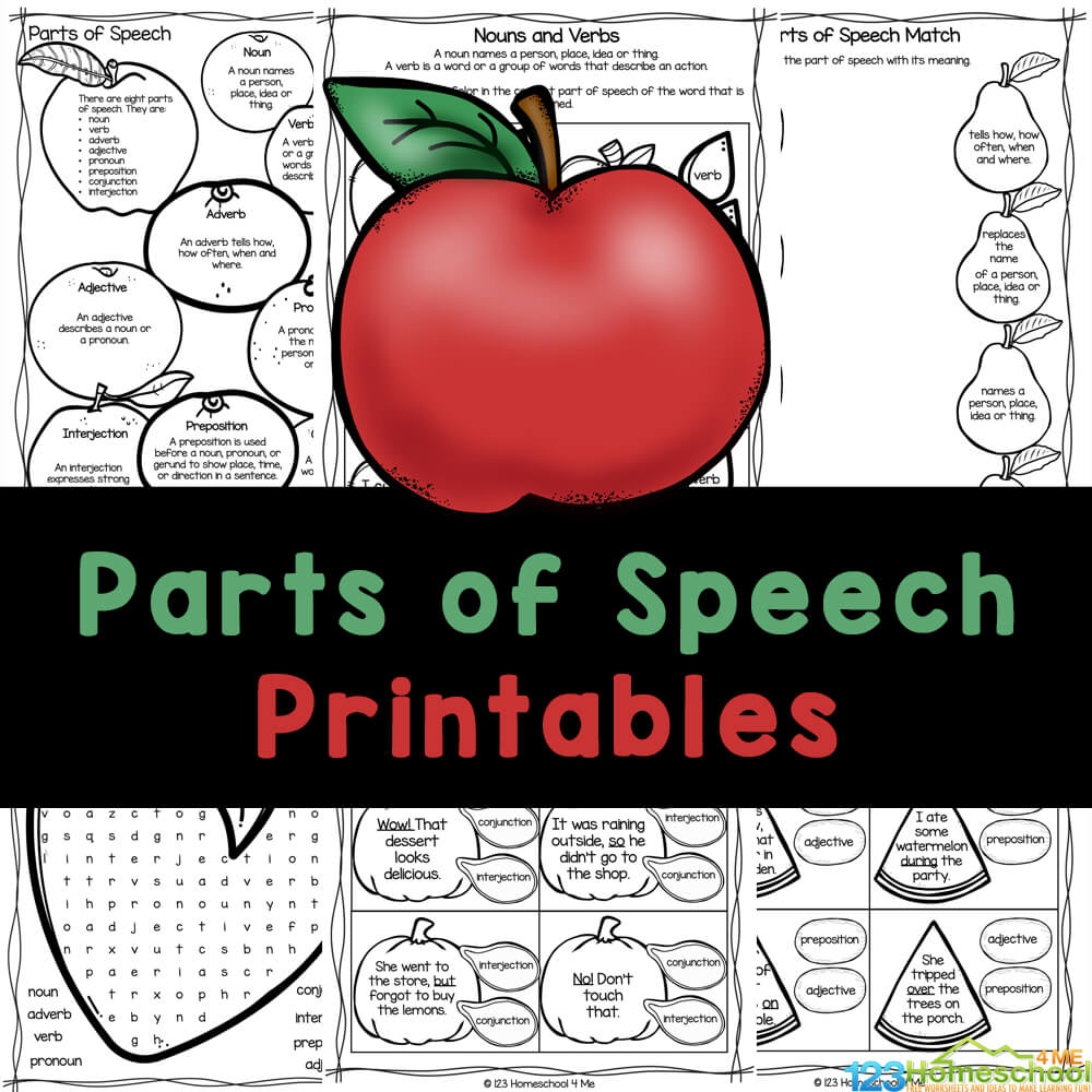 noun verb adjective worksheet pdf