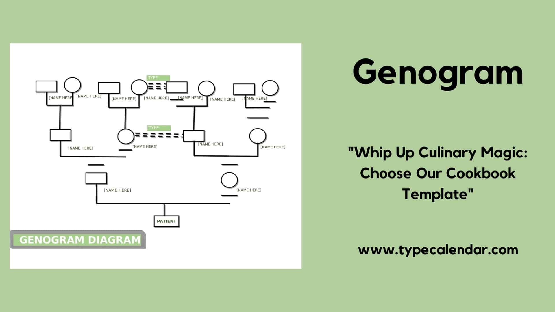 Free Printable Genogram Templates Excel Word PDF 