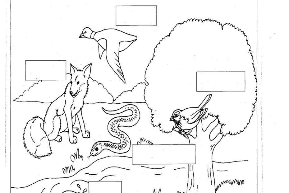 Free Printable Kindergarten Science Worksheets Worksheets Library