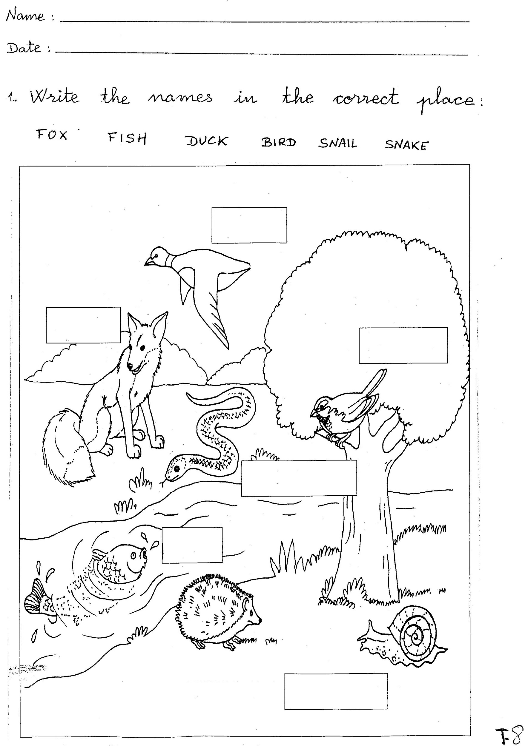 Free Printable Kindergarten Science Worksheets Worksheets Library