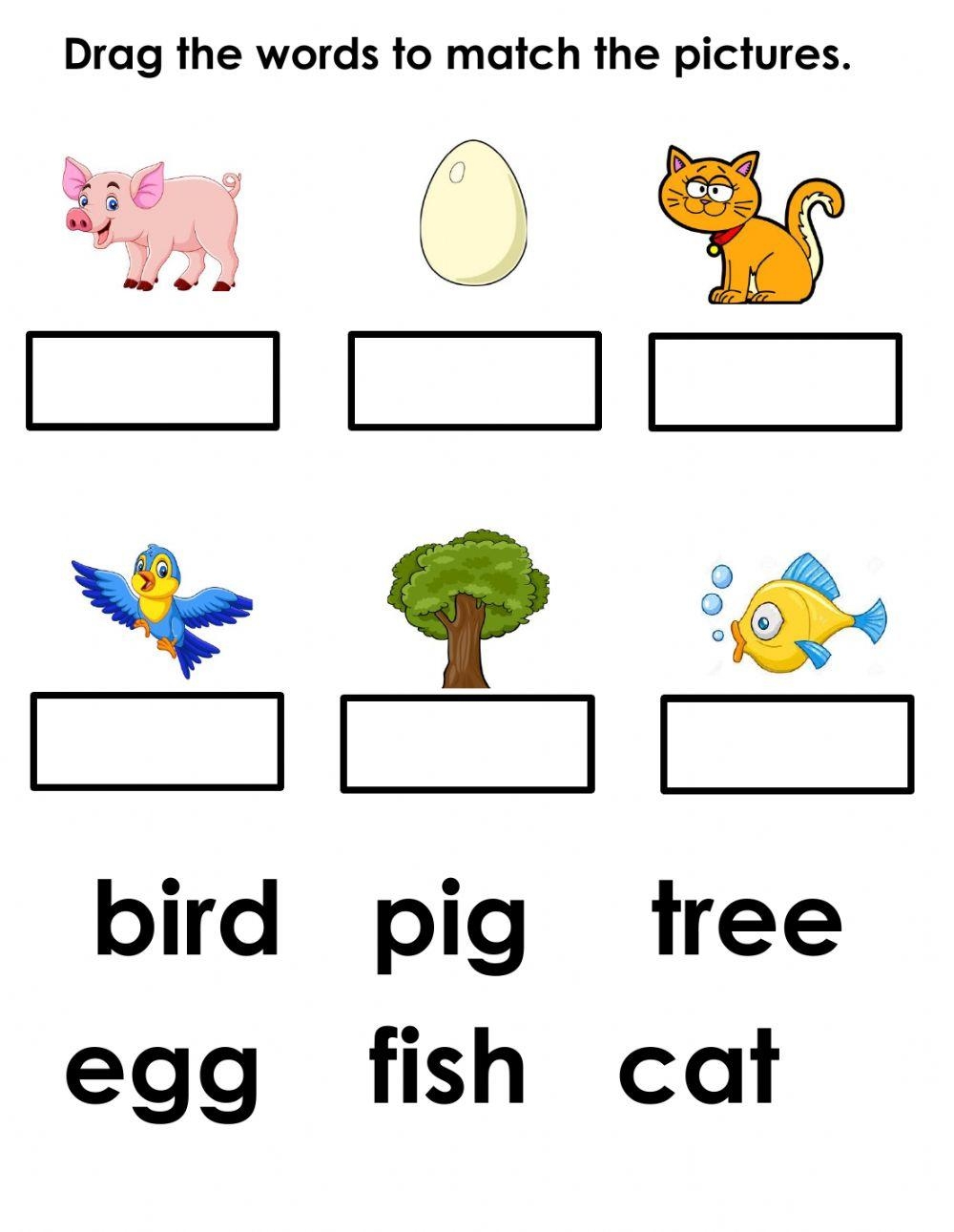 free kindergarten spelling words worksheets