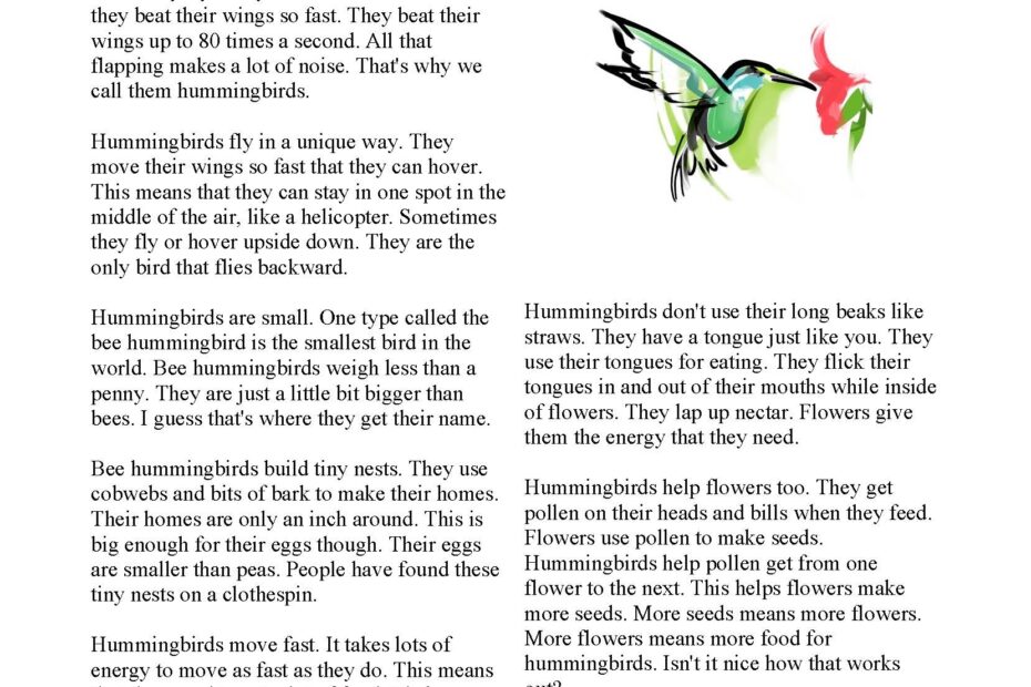 Hummingbirds Nonfiction Reading Activity