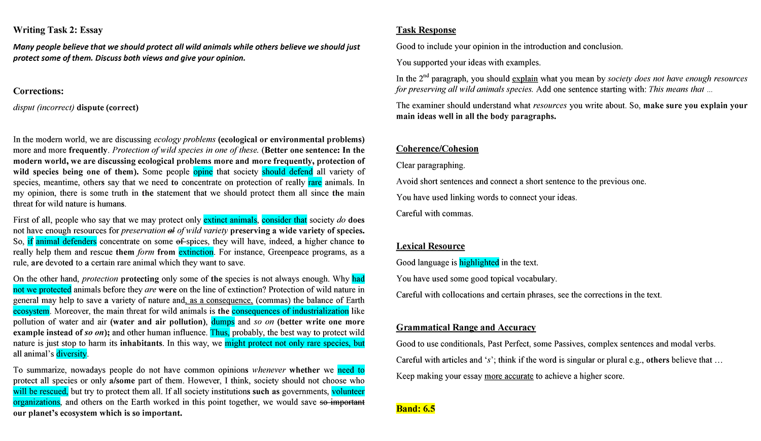 IELTS Writing Correction