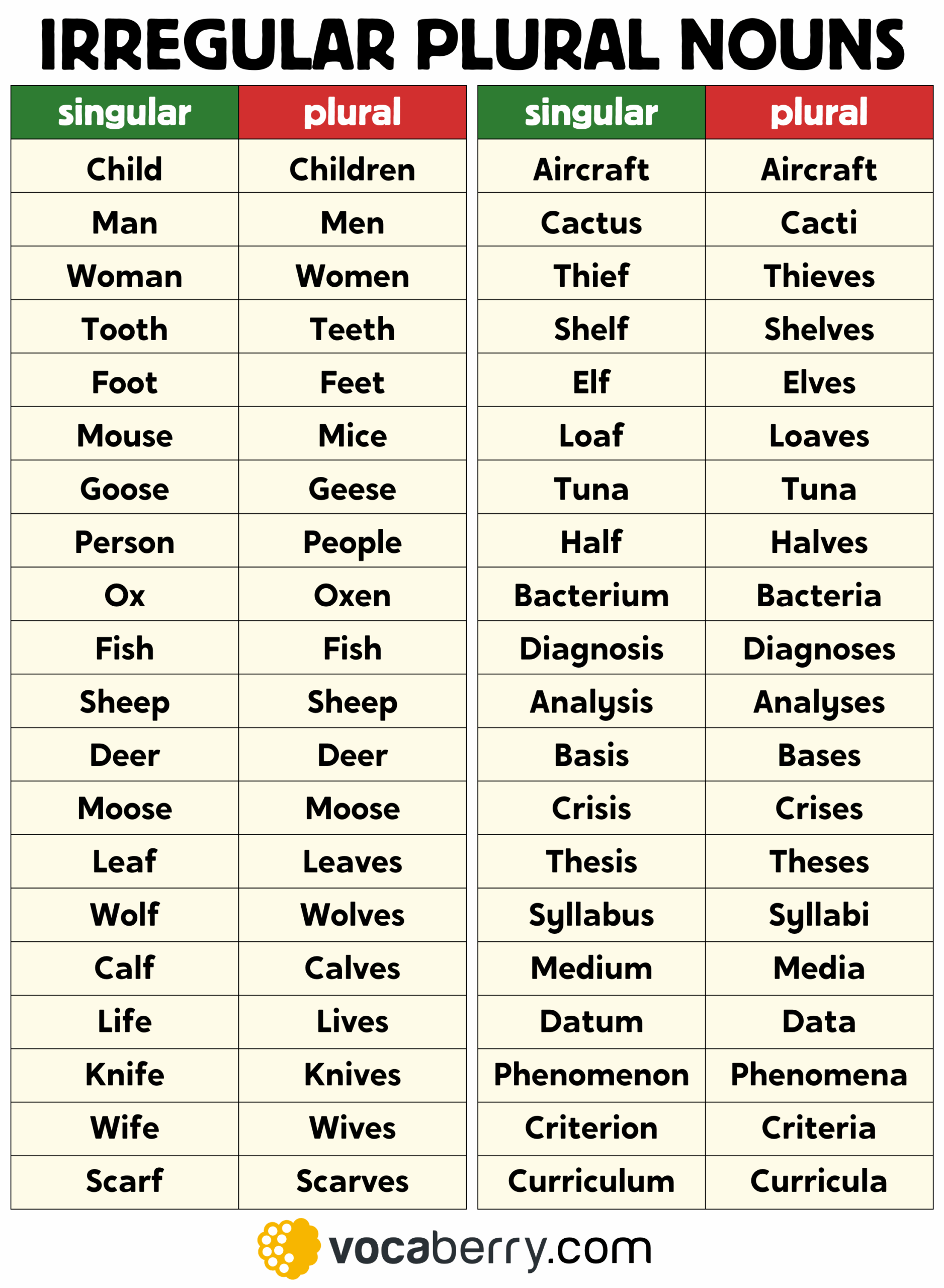 Irregular Plural Nouns