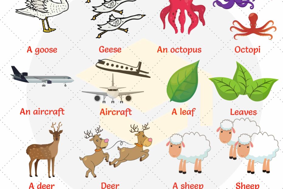 Irregular Plural Nouns In English 7ESL