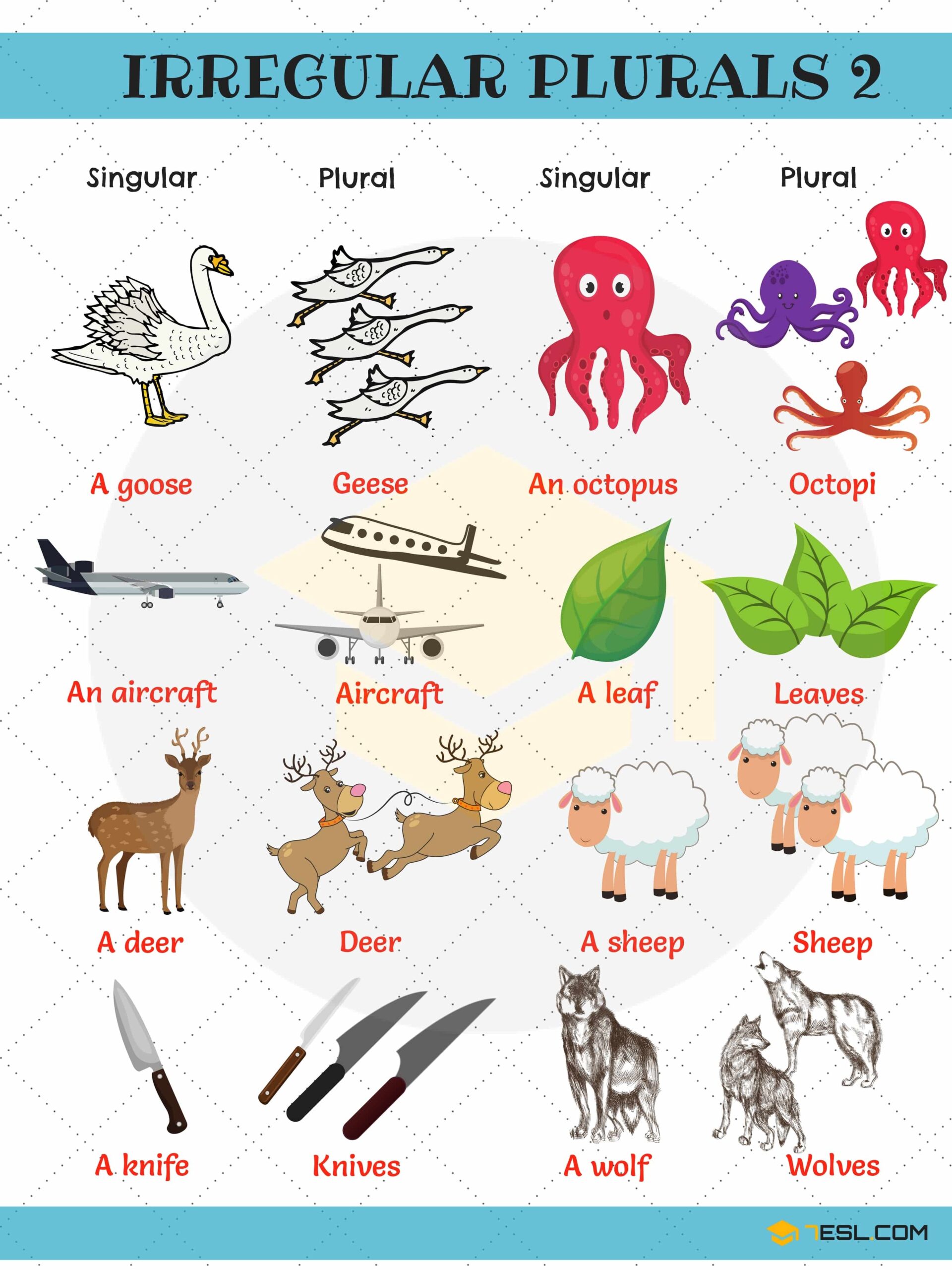 Irregular Plural Nouns In English 7ESL