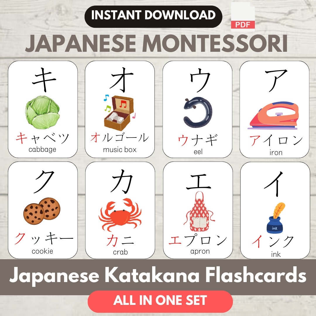 japanese vocabulary flashcards