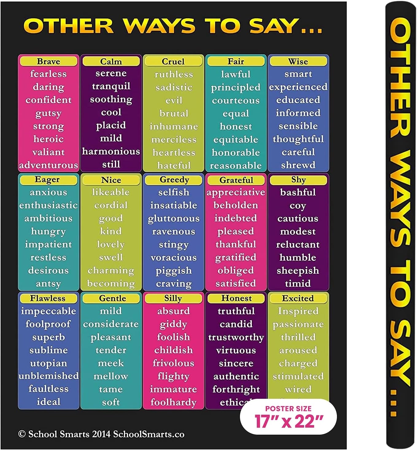 Large Synonyms Wall Poster For Elementary School Turkey Ubuy
