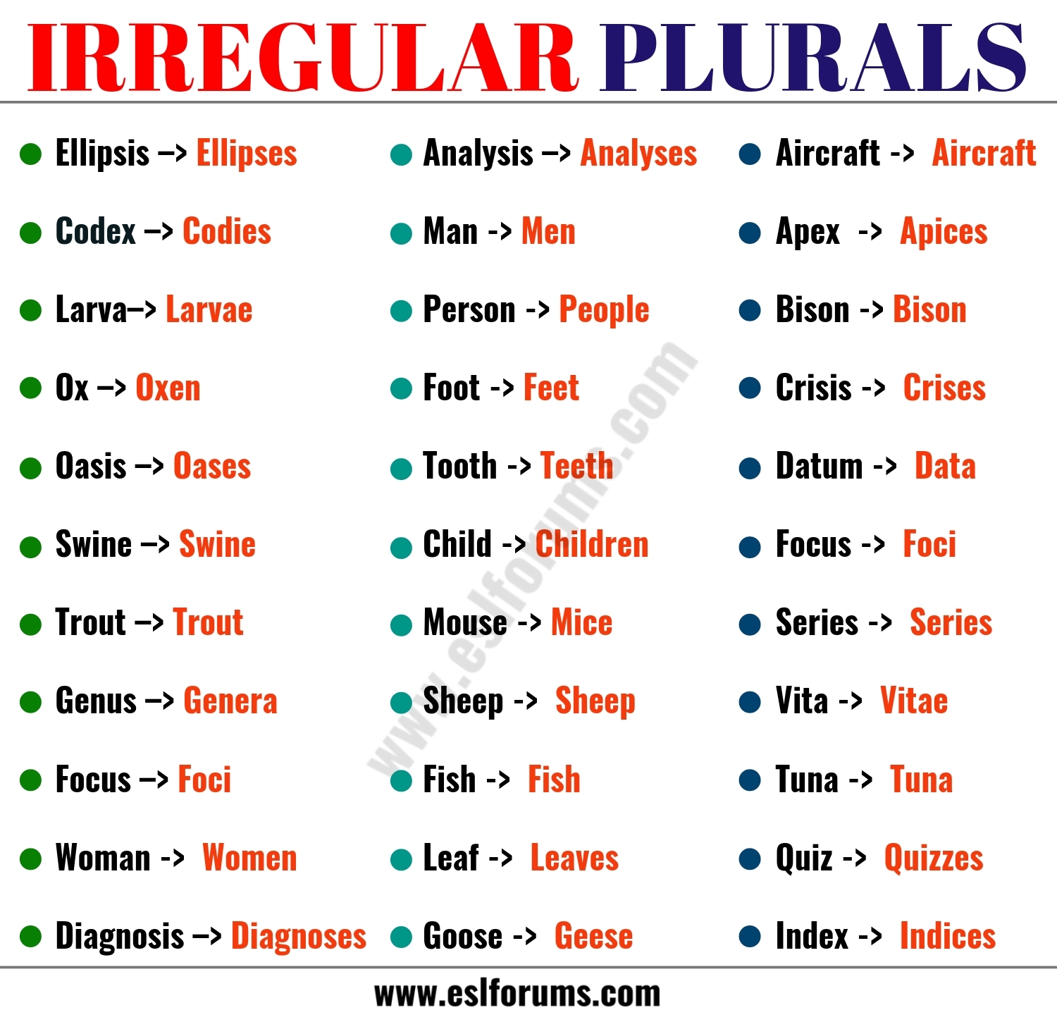 List Of 36 Important Irregular Plural Nouns In English ESL Forums