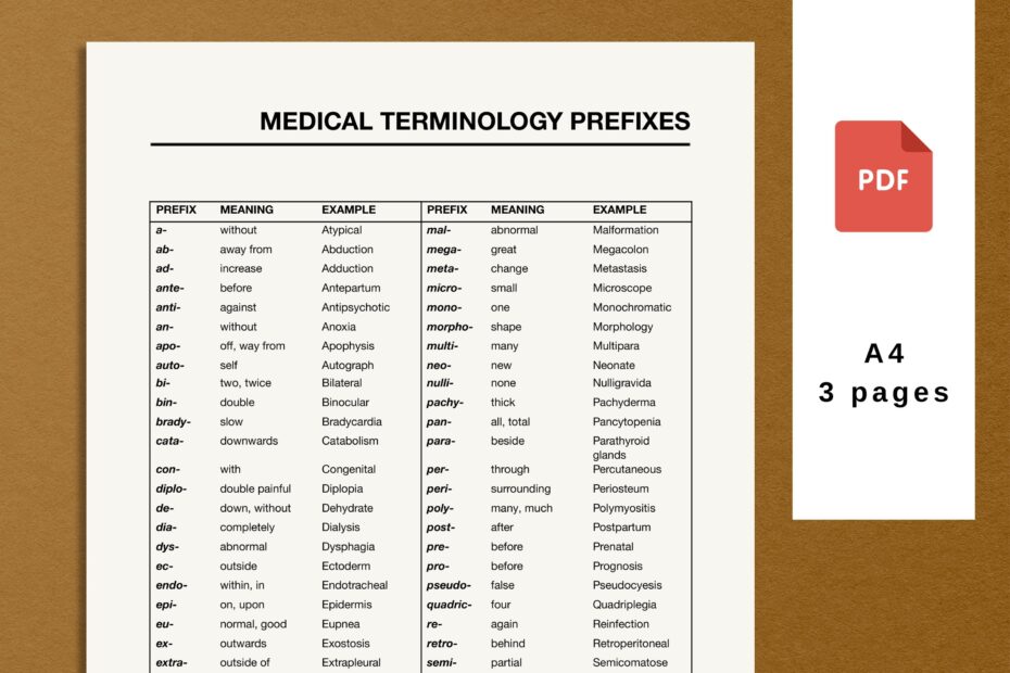 Medical Terminology List Prefixes And Suffixes Pdf