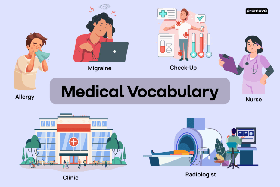 Medical Vocabulary Words List Mastering English For Medicine Promova Blog