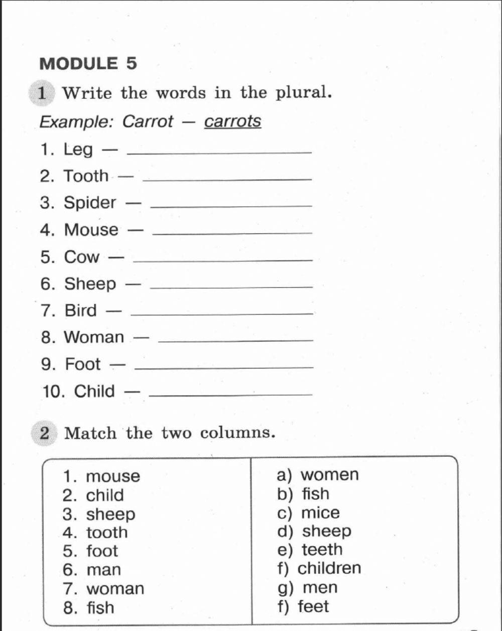 plural nouns worksheet grade 5