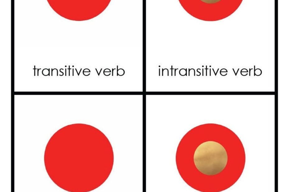 Montessori inspired Grammar Transitive U0026 Intransitive Verbs 4 part Cards Sorting Activity Etsy